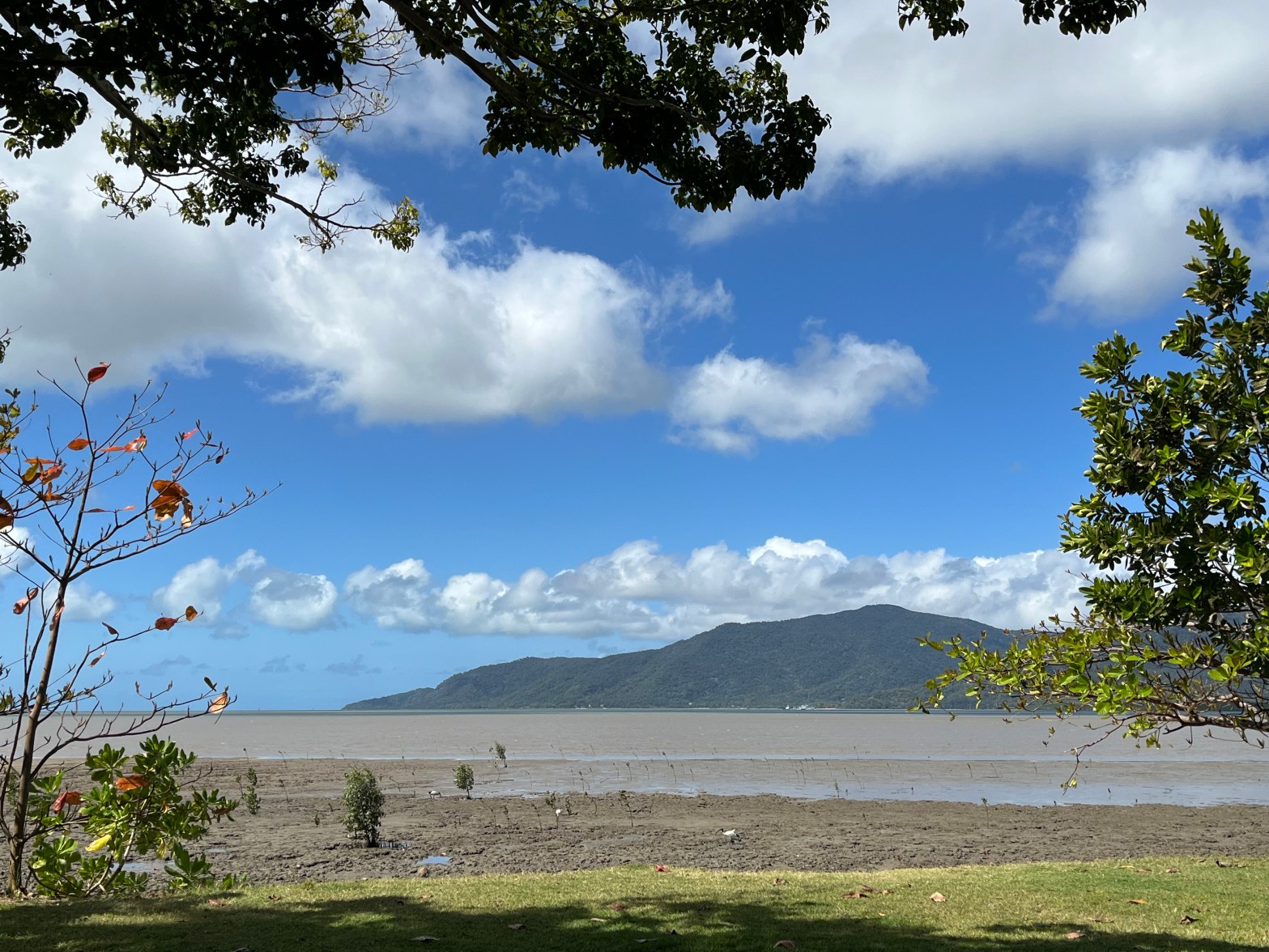 ケアンズ来て１週間